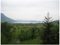 Arther Kirschgarten 025.jpg